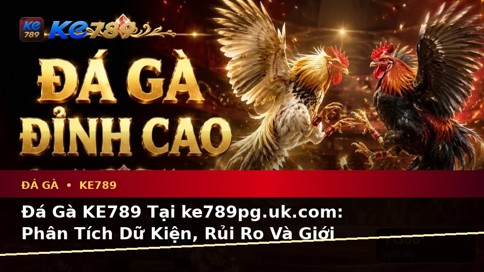 Đá Gà KE789 Tại ke789pg.uk.com: Phân Tích Dữ Kiện, Rủi Ro Và Giới Hạn Ngân Sách Khi Quản Lý Phiên Chơi Trực Tuyến Theo Quy Trình An Toàn