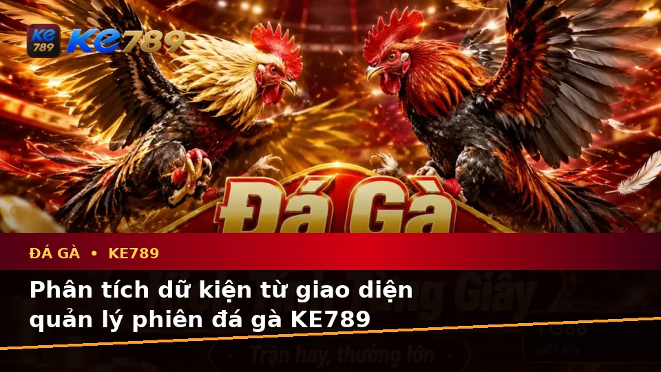 Đá Gà KE789 Tại ke789pg.uk.com: Phân Tích Dữ Kiện, Rủi Ro Và Giới Hạn Ngân Sách Khi Quản Lý Phiên Chơi Trực Tuyến Theo Quy Trình An Toàn