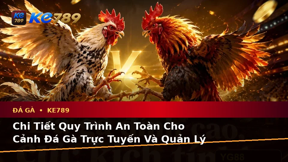Đá Gà KE789 Tại ke789pg.uk.com: Xây Dựng Danh Sách Kiểm Tra Bảo Mật Trước Khi Sử Dụng Và Quản Lý Phiên Chơi Trực Tuyến