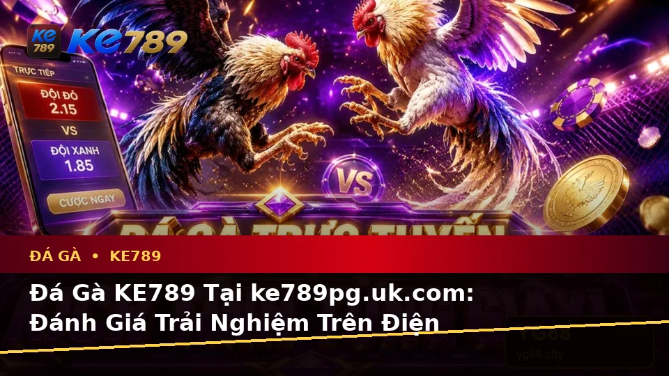 Đá Gà KE789 Tại ke789pg.uk.com: Đánh Giá Trải Nghiệm Trên Điện Thoại Trong Bối Cảnh Quản Lý Phiên Chơi Theo Quy Trình An Toàn