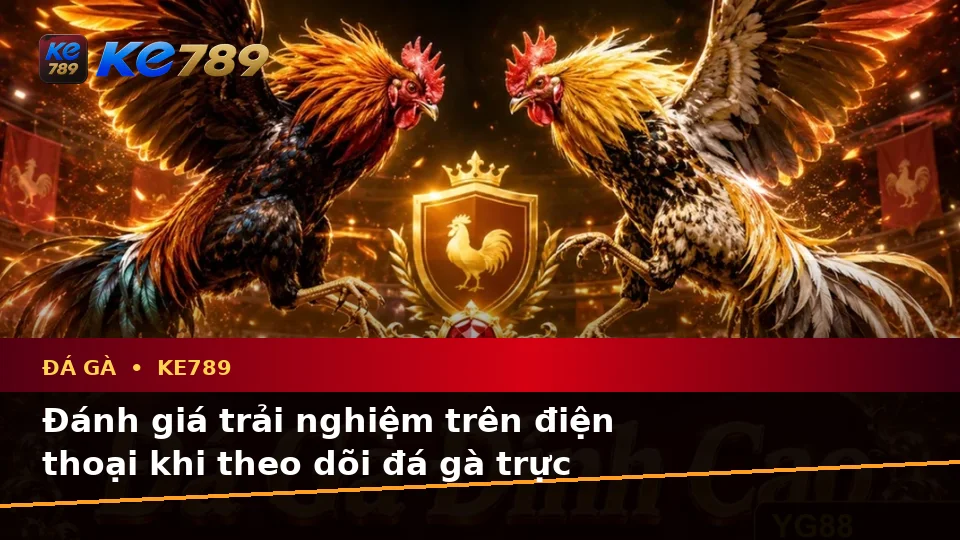 Đá Gà KE789 Tại ke789pg.uk.com: Đánh Giá Trải Nghiệm Trên Điện Thoại Trong Bối Cảnh Quản Lý Phiên Chơi Theo Quy Trình An Toàn