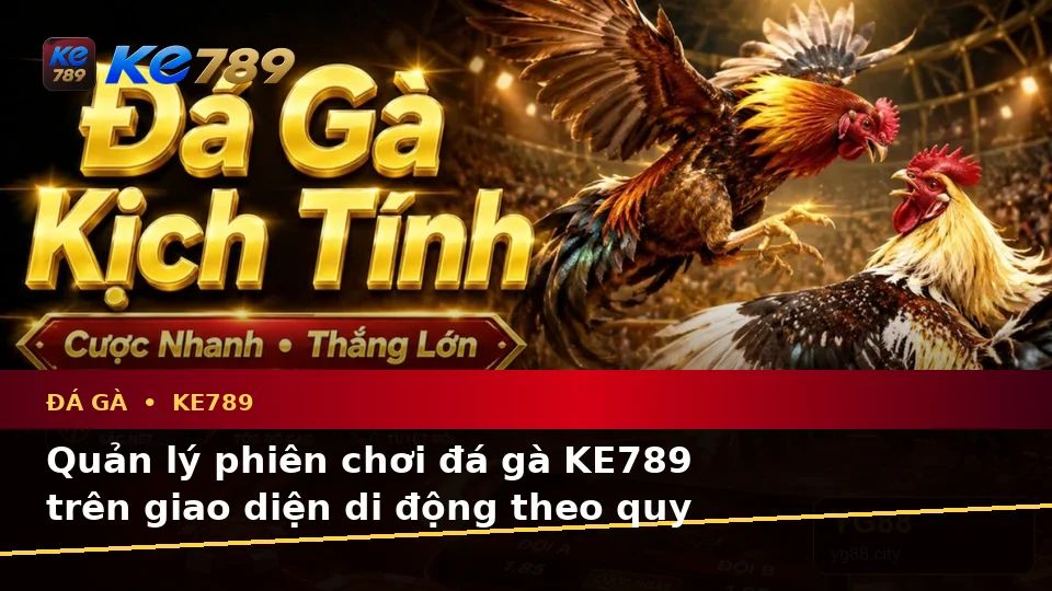 Đá Gà KE789 Tại ke789pg.uk.com: Đánh Giá Trải Nghiệm Trên Điện Thoại Trong Bối Cảnh Quản Lý Phiên Chơi Theo Quy Trình An Toàn