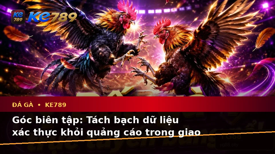 Đá Gà KE789 Tại ke789pg.uk.com: Phân Biệt Thông Tin Xác Thực, Quảng Cáo Và Kỳ Vọng Thực Tế Về Quản Lý Phiên Chơi Theo Quy Trình An Toàn