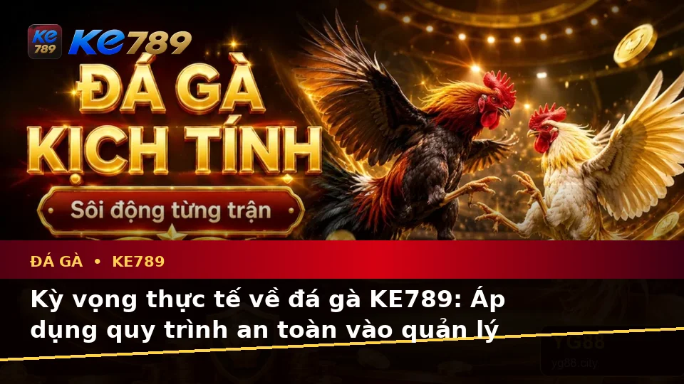 Đá Gà KE789 Tại ke789pg.uk.com: Phân Biệt Thông Tin Xác Thực, Quảng Cáo Và Kỳ Vọng Thực Tế Về Quản Lý Phiên Chơi Theo Quy Trình An Toàn