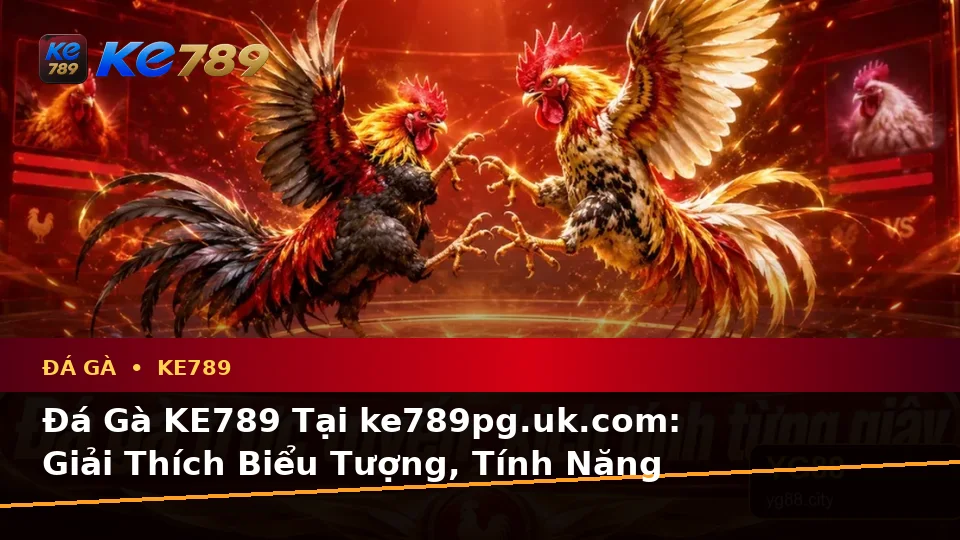 Đá Gà KE789 Tại ke789pg.uk.com: Giải Thích Biểu Tượng, Tính Năng Và Quy Trình Thường Gặp Theo Quy Trình An Toàn