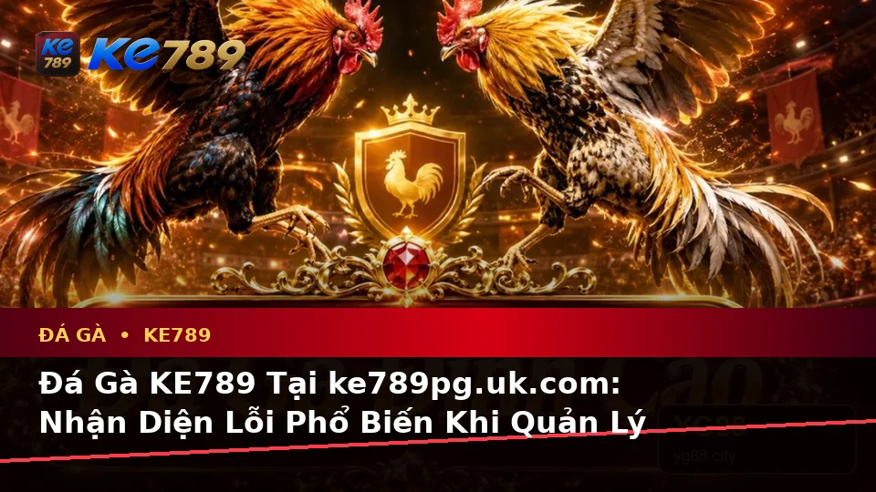 Đá Gà KE789 Tại ke789pg.uk.com: Nhận Diện Lỗi Phổ Biến Khi Quản Lý Phiên Chơi Và Cách Xử Lý Có Trách Nhiệm Theo Quy Trình An Toàn