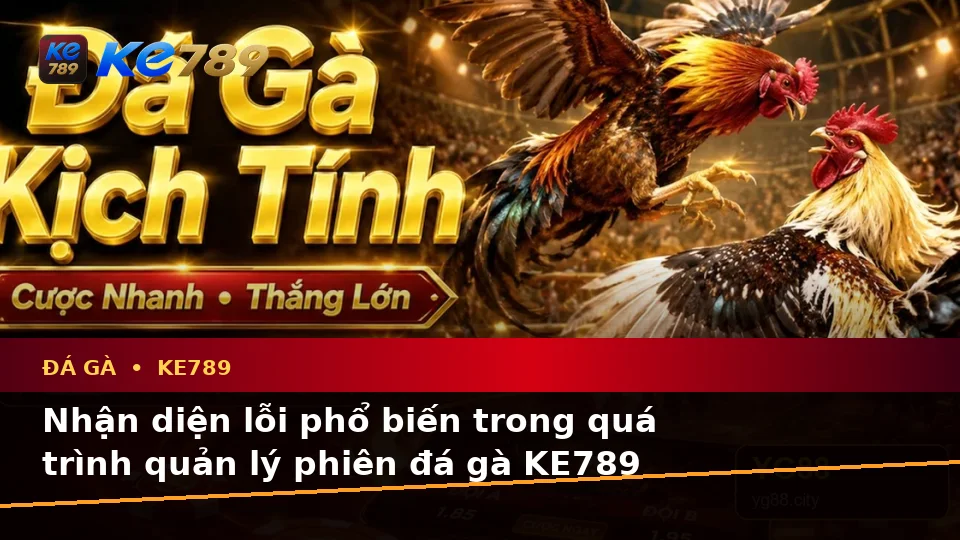 Đá Gà KE789 Tại ke789pg.uk.com: Nhận Diện Lỗi Phổ Biến Khi Quản Lý Phiên Chơi Và Cách Xử Lý Có Trách Nhiệm Theo Quy Trình An Toàn