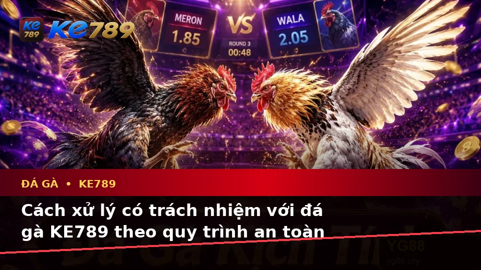 Đá Gà KE789 Tại ke789pg.uk.com: Nhận Diện Lỗi Phổ Biến Khi Quản Lý Phiên Chơi Và Cách Xử Lý Có Trách Nhiệm Theo Quy Trình An Toàn