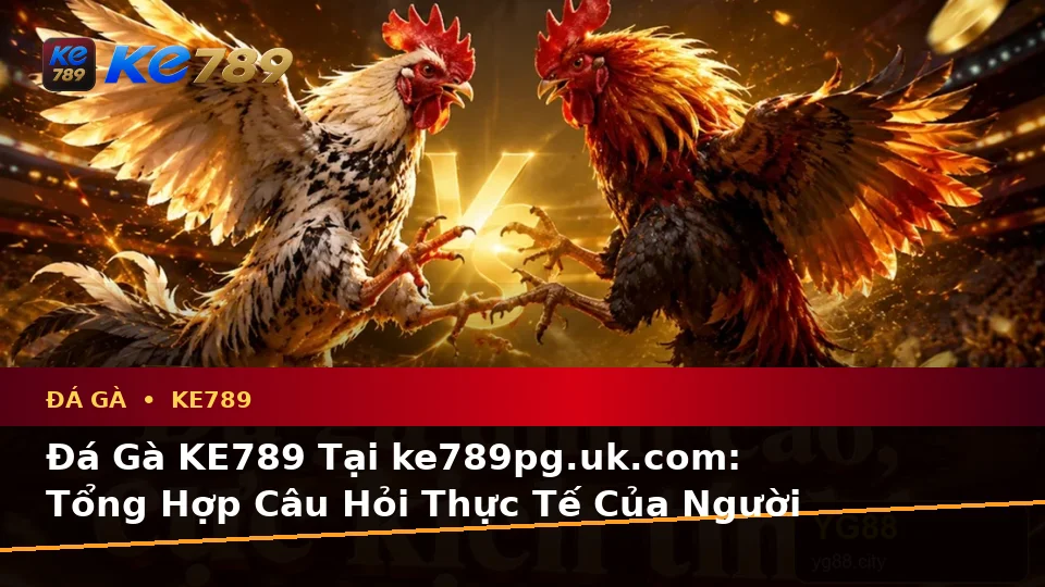 Đá Gà KE789 Tại ke789pg.uk.com: Tổng Hợp Câu Hỏi Thực Tế Của Người Dùng Trưởng Thành Về Quản Lý Phiên Chơi Theo Quy Trình An Toàn
