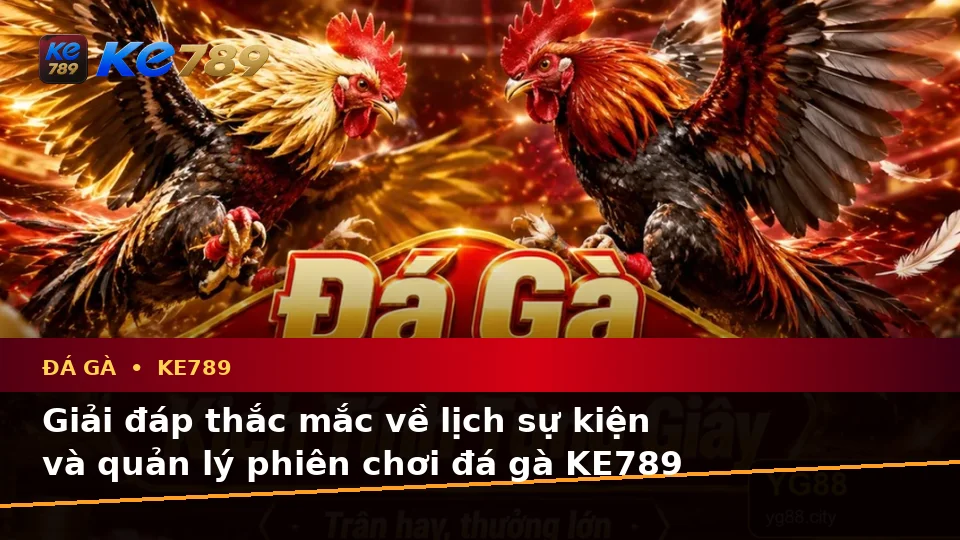 Đá Gà KE789 Tại ke789pg.uk.com: Tổng Hợp Câu Hỏi Thực Tế Của Người Dùng Trưởng Thành Về Quản Lý Phiên Chơi Theo Quy Trình An Toàn