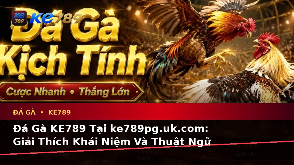 Đá Gà KE789 Tại ke789pg.uk.com: Giải Thích Khái Niệm Và Thuật Ngữ Cốt Lõi Theo Quy Trình An Toàn Khi Quản Lý Phiên Chơi Trực Tuyến