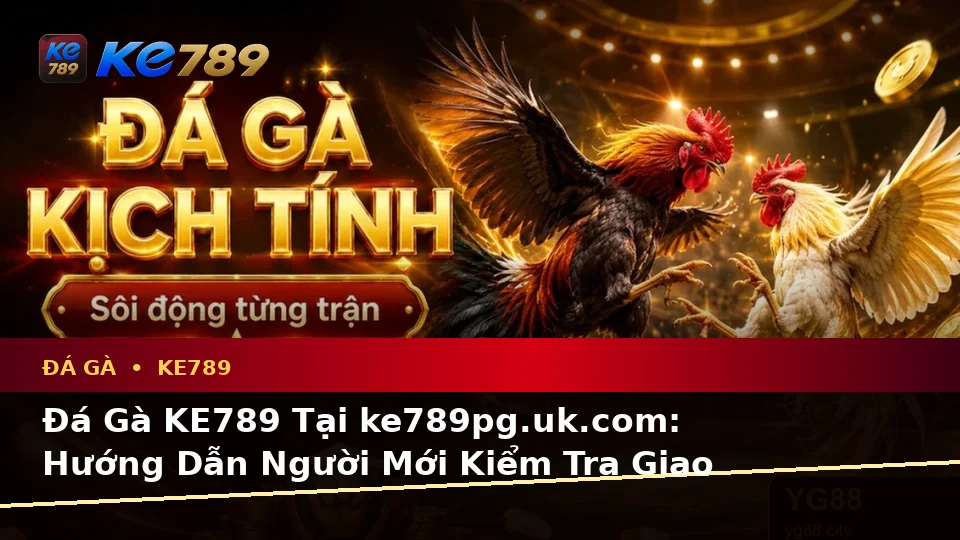 Đá Gà KE789 Tại ke789pg.uk.com: Hướng Dẫn Người Mới Kiểm Tra Giao Diện Và Thông Tin Quản Lý Phiên Chơi Theo Quy Trình An Toàn